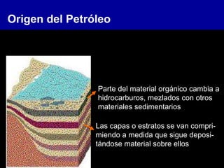 Origen del Petróleo
Parte del material orgánico cambia a
hidrocarburos, mezlados con otros
materiales sedimentarios
Las capas o estratos se van compri-
miendo a medida que sigue deposi-
tándose material sobre ellos
 