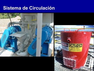 Sistema de Circulación
 