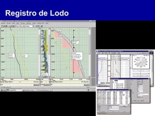 Registro de Lodo
 