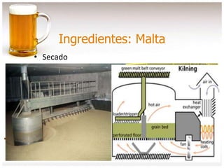 Ingredientes: Malta
• Secado
 
