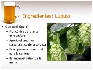 Ingredientes: Lúpulo
• Que es el lúpulo?
– Flor cónica de planta
enredadera
– Aporta el amargor
característico de la cerveza
– Es un persevante natural
para la cerveza
– Balancea el dulzor de la
malta
 
