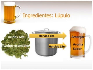 Ingredientes: Lúpulo
Hervido 1hrÁcidos Alfa
Aceites esenciales Hervido 15m
Amargor
Aroma
Sabor
 