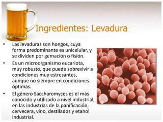 Ingredientes: Levadura
• Las levaduras son hongos, cuya
forma predominante es unicelular, y
se dividen por gemación o fisión.
• Es un microorganismo eucariota,
muy robusto, que puede sobrevivir a
condiciones muy estresantes,
aunque no siempre en condiciones
óptimas.
• El género Saccharomyces es el más
conocido y utilizado a nivel industrial,
en las industrias de la panificación,
cervecera, vino, destilados y etanol
industrial.
 