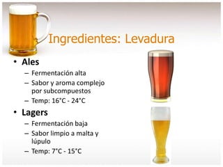 Ingredientes: Levadura
• Ales
– Fermentación alta
– Sabor y aroma complejo
por subcompuestos
– Temp: 16°C - 24°C
• Lagers
– Fermentación baja
– Sabor limpio a malta y
lúpulo
– Temp: 7°C - 15°C
 