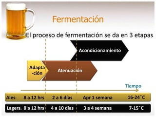Fermentación
Adapta
-ción
Atenuación
Acondicionamiento
Tiempo
8 a 12 hrs 2 a 6 días
4 a 10 días8 a 12 hrs
Ales:
Lagers: 7-15 ̊C3 a 4 semanas
16-24 ̊CApr 1 semana
El proceso de fermentación se da en 3 etapas
 
