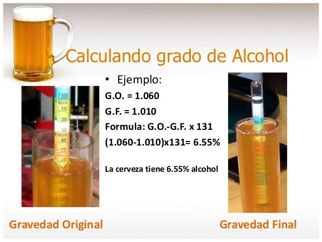 Curso basico de elaboracion de Cerveza Artesanal