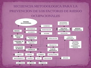 PROGRAMA
          SALUD OCUPACIONAL                                           PROGRAMAS
                                                                      PREVENTIVOS
                                                EXÁMENES

                    ENFERMEDAD                                           VIGILANCIA         MEDIDAS
                                              INVESTIGACIÓN           EPIDEMIOLÓGICA      PREVENTIVAS
RIESGOS
                     ACCIDENTE
                                                INFORME                 EDUCACIÓN

 INSPECCIÓN
    ÁREAS            OBSERVACIÓN                                                 CONTROL
                       PUESTOS                         SEÑALIZACIÓN             EMERGENCIA

PANORAMA DE          REGLAMENTO                                                          SISTEMAS
  RIESGOS              DE H Y S                                                         DETECCIÓN
                                                        PREVENTIVO                       ALARMAS
                                                                                       COMUNICACIÓN
  EVALUACIÓN                                                                             EQUIPOS
  DE RIESGOS                                             PLAN DE
                     CONTROLES
                                                       EMERGENCIA


    FUENTE          MEDIOS           HOMBRES           ESTRUCTURAL


MANTENIMIENTO        DISEÑOS       E.P.P.        EDUCACIÓN                  BRIGADA



    LOCATIVOS          EQUIPOS              PUESTOS
 