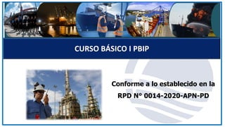 CURSO BASICO I PBIP que conformes a RPD N•14-2020 APN | PDF