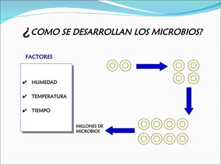 ¿COMO SE DESARROLLAN LOS MICROBIOS?
FACTORES



 HUMEDAD

 TEMPERATURA

 TIEMPO


               MILLONES DE
               MICROBIOS
 
