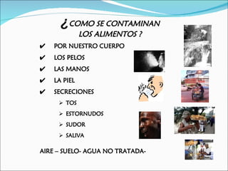¿COMO SE CONTAMINAN
              LOS ALIMENTOS ?
    POR NUESTRO CUERPO
    LOS PELOS
    LAS MANOS
    LA PIEL
    SECRECIONES
      TOS
      ESTORNUDOS
      SUDOR
      SALIVA

AIRE – SUELO- AGUA NO TRATADA-
 