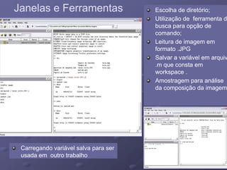 Janelas e FerramentasJanelas e Ferramentas Escolha de diretório;Escolha de diretório;
Utili ação de ferramenta deUtili ação de ferramenta deUtilização de ferramenta deUtilização de ferramenta de
busca para opção debusca para opção de
comando;comando;
L it d iL it d iLeitura de imagem emLeitura de imagem em
formato .JPGformato .JPG
Salvar a variável em arquivoSalvar a variável em arquivo
.m que consta em.m que consta em
workspace .workspace .
Amostragem para análiseAmostragem para análise
da composição da imagem.da composição da imagem.
Carregando variável salva para serCarregando variável salva para ser
usada em outro trabalhousada em outro trabalho
 