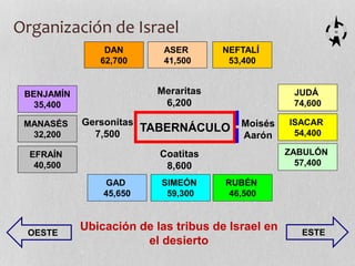 N
ASER
41,500
NEFTALÍ
53,400
JUDÁ
74,600
ISACAR
54,400
ZABULÓN
57,400
RUBÉN
46,500
SIMEÓN
59,300
GAD
45,650
EFRAÍN
40,500
MANASÉS
32,200
BENJAMÍN
35,400
DAN
62,700
Coatitas
8,600
Gersonitas
7,500
TABERNÁCULO Moisés
Aarón
Meraritas
6,200
OESTE ESTE
Ubicación de las tribus de Israel en
el desierto
Organización de Israel
 