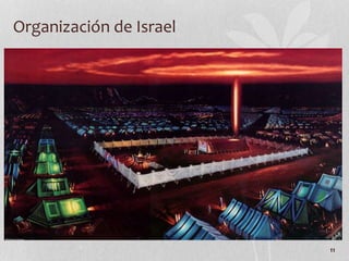 11
Organización de Israel
 