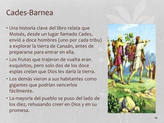 • Una historia clave del libro relata que
Moisés, desde un lugar llamado Cades,
envió a doce hombres (uno por cada tribu)
a explorar la tierra de Canaán, antes de
prepararse para entrar en ella.
• Los frutos que trajeron de vuelta eran
exquisitos, pero solo dos de los doce
espías creían que Dios les daría la tierra.
• Los demás vieron a sus habitantes como
gigantes que podrían vencerlos
fácilmente.
• La mayoría del pueblo se puso del lado de
los diez, rehusando creer en Dios y en su
promesa.
12
Cades-Barnea
 