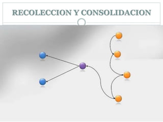 RECOLECCION Y CONSOLIDACION
 