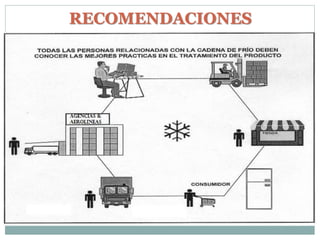 RECOMENDACIONES
 