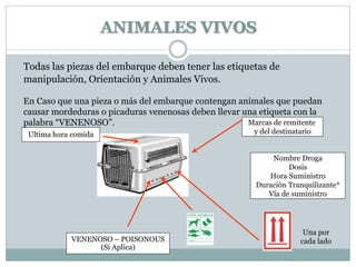 ANIMALES VIVOS
Todas las piezas del embarque deben tener las etiquetas de
manipulación, Orientación y Animales Vivos.
En Caso que una pieza o más del embarque contengan animales que puedan
causar mordeduras o picaduras venenosas deben llevar una etiqueta con la
palabra “VENENOSO”.
Ultima hora comida
VENENOSO – POISONOUS
(Si Aplica)
Una por
cada lado
Marcas de remitente
y del destinatario
Nombre Droga
Dosis
Hora Suministro
Duración Tranquilizante*
Vía de suministro
 