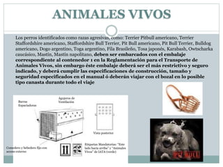 Los perros identificados como razas agresivas, como: Terrier Pitbull americano, Terrier
Staffordshire americano, Staffordshire Bull Terrier, Pit Bull americano, Pit Bull Terrier, Bulldog
americano, Dogo argentino, Toga argentino, Fila Brasileño, Tosa japonés, Karabash, Owtscharka
caucásico, Mastín, Mastín napolitano, deben ser embarcados con el embalaje
correspondiente al contenedor 1 en la Reglamentación para el Transporte de
Animales Vivos, sin embargo éste embalaje deberá ser el más restrictivo y seguro
indicado, y deberá cumplir las especificaciones de construcción, tamaño y
seguridad especificados en el manual ó deberán viajar con el bozal en lo posible
tipo canasta durante todo el viaje
Barras
Espaciadoras
Agujeros de
Ventilación
Etiquetas Mandatorias: “Este
lado hacia arriba” y “Animales
Vivos” de IATA (verde)
Comedero y bebedero fijo con
acceso externo
Vista posterior
ANIMALES VIVOS
 