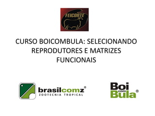 CURSO BOICOMBULA: SELECIONANDO
    REPRODUTORES E MATRIZES
          FUNCIONAIS
 