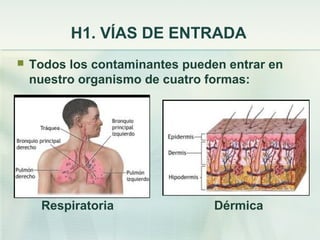 H1. VÍAS DE ENTRADA
   Todos los contaminantes pueden entrar en
    nuestro organismo de cuatro formas:




     Respiratoria                Dérmica
 