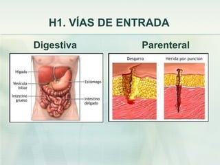 H1. VÍAS DE ENTRADA
Digestiva        Parenteral
 