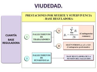 CUANTÍA
   BASE
REGULADORA
 
