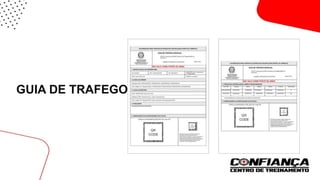 GUIA DE TRAFEGO
 