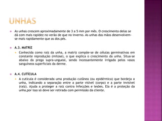  As unhas crescem aproximadamente de 3 a 5 mm por mês. O crescimento delas se
dá com mais rapidez no verão de que no inverno. As unhas das mãos desenvolvem-
se mais rapidamente que as dos pés.
 A.3. MATRIZ
 Conhecida como raiz da unha, a matriz compõe-se de células germinativas em
constante reprodução (mitose), o que explica o crescimento da unha. Situa-se
abaixo da prega supra-ungueal, sendo incessantemente irrigada pelos vasos
sanguíneos superficiais da derme.
 A.4. CUTÍCULA
 A cutícula é considerada uma produção cutânea (ou epidérmica) que bordeja a
unha, indicando a separação entre a parte visível (corpo) e a parte invisível
(raiz). Ajuda a proteger a raiz contra Infecções e lesões. Ela é a proteção da
unha,por isso só deve ser retirada com permissão da cliente.
 