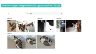 TÉCNICAS AVANÇADAS
Como o Google consegue identificar gatos nas minha fotos?
 