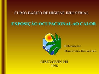 CURSO BÁSICO DE HIGIENE INDUSTRIAL

EXPOSIÇÃO OCUPACIONAL AO CALOR



                         Elaborado por:
                         Maria Cristina Dias dos Reis



            GESEG/GESIN-I/HI
                 1998
 