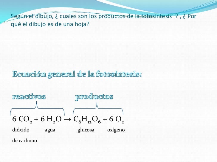 Fotosíntesis 1° año EES