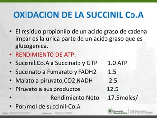 OXIDACION DE ACIDOS GRASOS INSATURADOSLa mayoria de las reacciones son las mismas que para los acidos grasos saturados