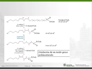 Los C.C son transportados a los tejidos perifericos para oxidarse por el ciclo ATC:cerebro,musculoesqueletico,corazon