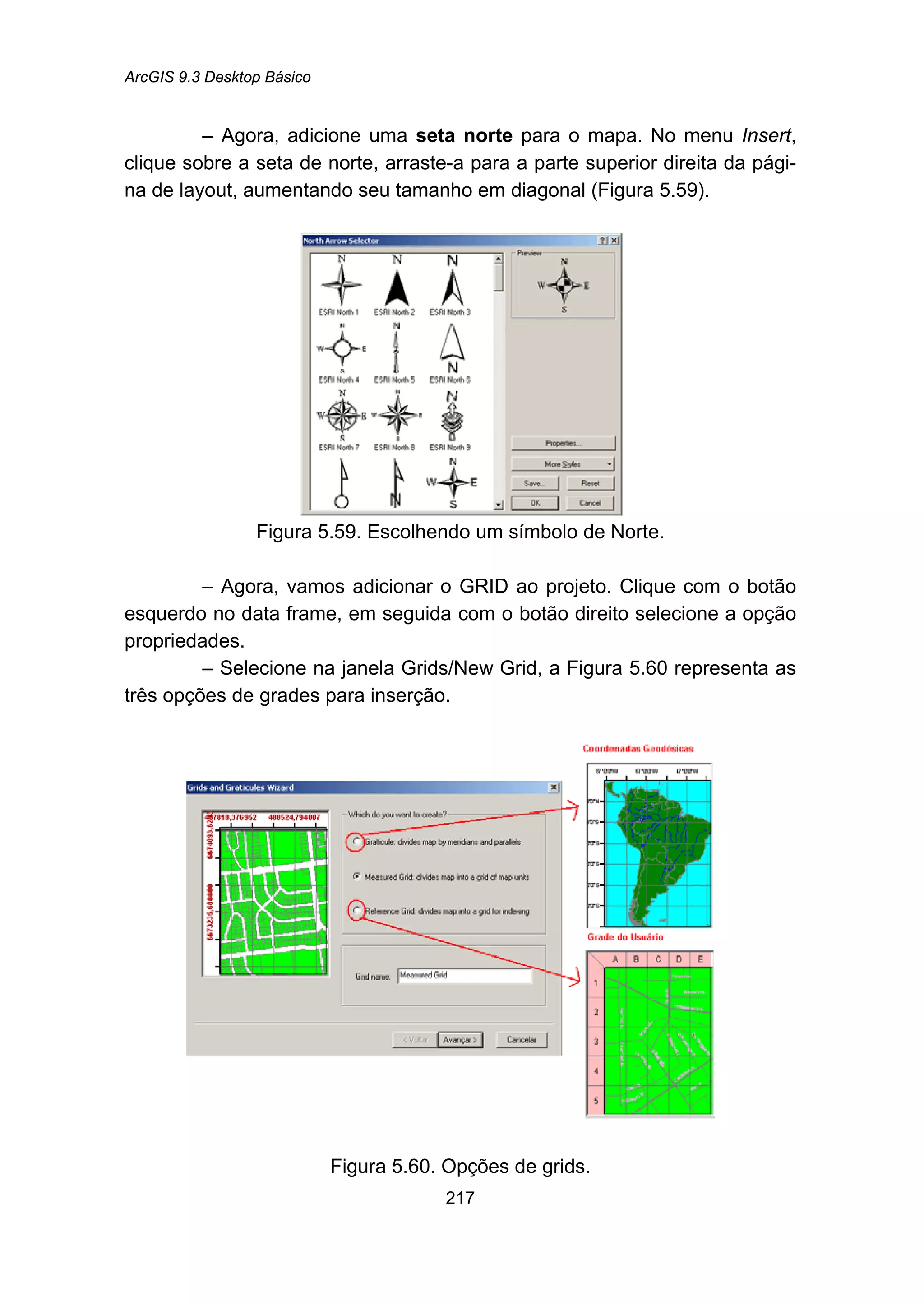 ArcGIS 9.3 Desktop Básico
217
– Agora, adicione uma seta norte para o mapa. No menu Insert,
clique sobre a seta de norte, arraste-a para a parte superior direita da pági-
na de layout, aumentando seu tamanho em diagonal (Figura 5.59).
Figura 5.59. Escolhendo um símbolo de Norte.
– Agora, vamos adicionar o GRID ao projeto. Clique com o botão
esquerdo no data frame, em seguida com o botão direito selecione a opção
propriedades.
– Selecione na janela Grids/New Grid, a Figura 5.60 representa as
três opções de grades para inserção.
Figura 5.60. Opções de grids.
 