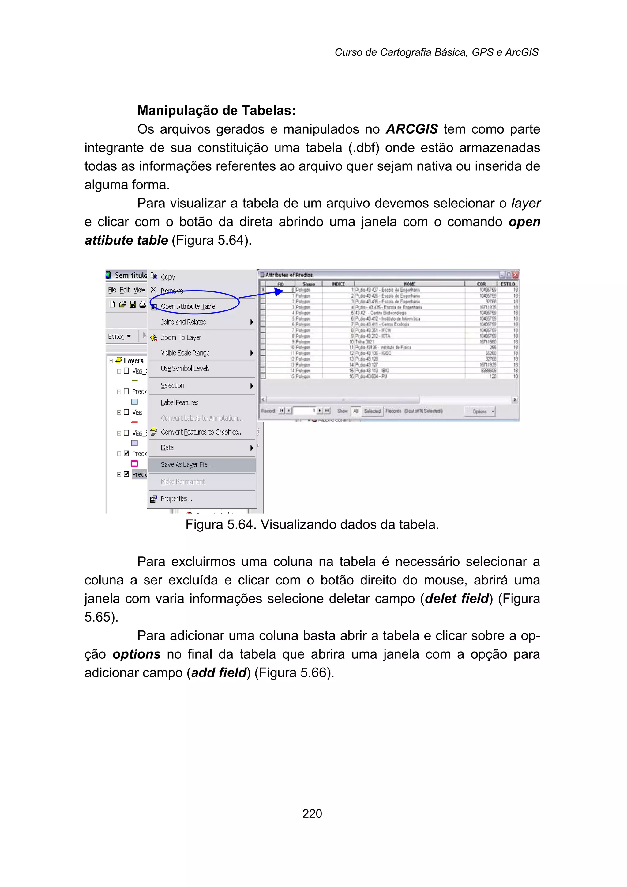 Curso de Cartografia Básica, GPS e ArcGIS
220
Manipulação de Tabelas:
Os arquivos gerados e manipulados no ARCGIS tem como parte
integrante de sua constituição uma tabela (.dbf) onde estão armazenadas
todas as informações referentes ao arquivo quer sejam nativa ou inserida de
alguma forma.
Para visualizar a tabela de um arquivo devemos selecionar o layer
e clicar com o botão da direta abrindo uma janela com o comando open
attibute table (Figura 5.64).
Figura 5.64. Visualizando dados da tabela.
Para excluirmos uma coluna na tabela é necessário selecionar a
coluna a ser excluída e clicar com o botão direito do mouse, abrirá uma
janela com varia informações selecione deletar campo (delet field) (Figura
5.65).
Para adicionar uma coluna basta abrir a tabela e clicar sobre a op-
ção options no final da tabela que abrira uma janela com a opção para
adicionar campo (add field) (Figura 5.66).
 