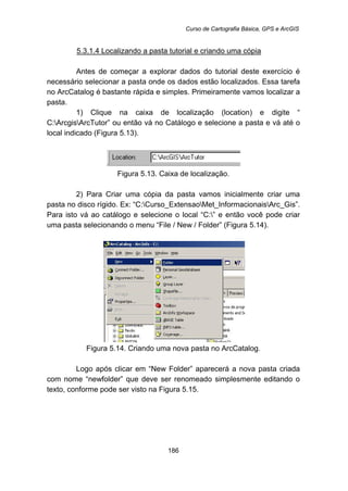 Curso de Cartografia Básica, GPS e ArcGIS
186
5.3.1.4 Localizando a pasta tutorial e criando uma cópia
Antes de começar a explorar dados do tutorial deste exercício é
necessário selecionar a pasta onde os dados estão localizados. Essa tarefa
no ArcCatalog é bastante rápida e simples. Primeiramente vamos localizar a
pasta.
1) Clique na caixa de localização (location) e digite “
C:ArcgisArcTutor” ou então vá no Catálogo e selecione a pasta e vá até o
local indicado (Figura 5.13).
Figura 5.13. Caixa de localização.
2) Para Criar uma cópia da pasta vamos inicialmente criar uma
pasta no disco rígido. Ex: “C:Curso_ExtensaoMet_InformacionaisArc_Gis”.
Para isto vá ao catálogo e selecione o local “C:” e então você pode criar
uma pasta selecionando o menu “File / New / Folder” (Figura 5.14).
Figura 5.14. Criando uma nova pasta no ArcCatalog.
Logo após clicar em “New Folder” aparecerá a nova pasta criada
com nome “newfolder” que deve ser renomeado simplesmente editando o
texto, conforme pode ser visto na Figura 5.15.
 