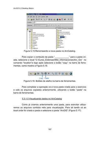 ArcGIS 9.3 Desktop Básico
187
Figura 5.15 Renomeando a nova pasta no ArcCatalog.
Para copiar o conteúdo da pasta “____________” para a pasta cri-
ada, selecione o local “C:Curso_ExtensaoMet_InformacionaisArc_Gis” no
comando “location”e logo após selecione o botão “copy” na barra de ferra-
mentas, como mostra a Figura 5.16.
Figura 5.16. Botões de atalho na barra de ferramentas.
Para completar a operação vá à nova pasta criada para o exercício
e cole os arquivos copiados anteriormente, utilizando o botão “paste” na
barra de ferramentas.
5.3.1.5 Visualizando dados no ArcCatalog
Como já criamos anteriormente uma pasta, para exercitar utiliza-
remos os arquivos contidos nela para visualização. Para tal tarefa vá ao
local onde foi criada a pasta e selecione a pasta “ArcGIS” (Figura 5.17).
 