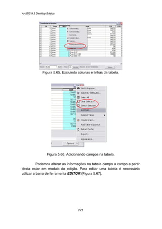 ArcGIS 9.3 Desktop Básico
221
Figura 5.65. Excluindo colunas e linhas da tabela.
Figura 5.66. Adicionando campos na tabela.
Podemos alterar as informações na tabela campo a campo a partir
desta estar em modulo de edição. Para editar uma tabela é necessário
utilizar a barra de ferramenta EDITOR (Figura 5.67).
 
