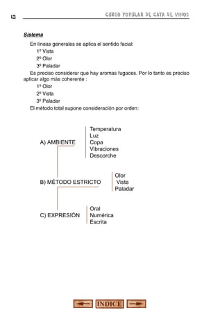 CURSO POPULAR DE CATA DE VINOS

12

Sistema
En líneas generales se aplica el sentido facial:
1º Vista
2º Olor
3º Paladar
Es preciso considerar que hay aromas fugaces. Por lo tanto es preciso
aplicar algo más coherente :
1º Olor
2º Vista
3º Paladar
El método total supone consideración por orden:

A) AMBIENTE

Temperatura
Luz
Copa
Vibraciones
Descorche

B) MÉTODO ESTRICTO

C) EXPRESIÓN

Oral
Numérica
Escrita

Olor
Vista
Paladar

 