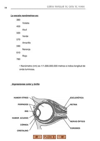CURSO POPULAR DE CATA DE VINOS

14

La escala nanómetros es:
380
Violeta
450
Azul
500
Verde
570
Amarillo
590
Naranja
610
Rojo
780
• Nanómetro (nm) es 1/1.000.000.000 metros e indica longitud de
onda luminosa.

Impresiones color y brillo

HUMOR VÍTREO
PÁRPADOS

ESCLERÓTICA
RETINA

IRIS
HUMOR ACUOSO
NERVIO ÓPTICO
CÓRNEA
COROIDES
CRISTALINO

 