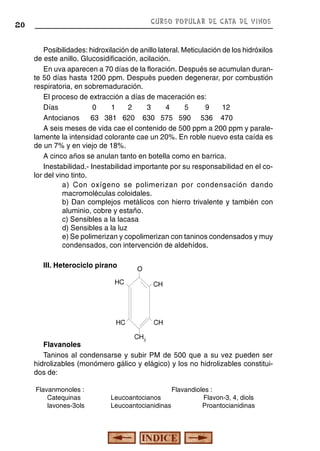 CURSO POPULAR DE CATA DE VINOS

20

Posibilidades: hidroxilación de anillo lateral. Meticulación de los hidróxilos
de este anillo. Glucosidificación, acilación.
En uva aparecen a 70 días de la floración. Después se acumulan durante 50 días hasta 1200 ppm. Después pueden degenerar, por combustión
respiratoria, en sobremaduración.
El proceso de extracción a días de maceración es:
Días
0
1
2
3
4
5
9
12
Antocianos
63 381 620 630 575 590 536 470
A seis meses de vida cae el contenido de 500 ppm a 200 ppm y paralelamente la intensidad colorante cae un 20%. En roble nuevo esta caída es
de un 7% y en viejo de 18%.
A cinco años se anulan tanto en botella como en barrica.
Inestabilidad.- Inestabilidad importante por su responsabilidad en el color del vino tinto.
a) Con oxígeno se polimerizan por condensación dando
macromoléculas coloidales.
b) Dan complejos metálicos con hierro trivalente y también con
aluminio, cobre y estaño.
c) Sensibles a la lacasa
d) Sensibles a la luz
e) Se polimerizan y copolimerizan con taninos condensados y muy
condensados, con intervención de aldehídos.
III. Heterociclo pirano

O

HC

CH

HC

CH
CH2

Flavanoles
Taninos al condensarse y subir PM de 500 que a su vez pueden ser
hidrolizables (monómero gálico y elágico) y los no hidrolizables constituidos de:
Flavanmonoles :
Catequinas
lavones-3ols

Leucoantocianos
Leucoantocianidinas

Flavandioles :
Flavon-3, 4, diols
Proantocianidinas

 