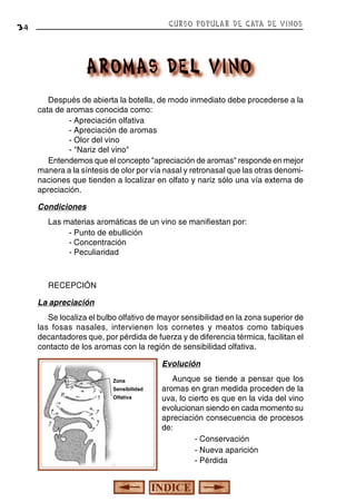 CURSO POPULAR DE CATA DE VINOS

34

Después de abierta la botella, de modo inmediato debe procederse a la
cata de aromas conocida como:
- Apreciación olfativa
- Apreciación de aromas
- Olor del vino
- "Nariz del vino"
Entendemos que el concepto "apreciación de aromas" responde en mejor
manera a la síntesis de olor por vía nasal y retronasal que las otras denominaciones que tienden a localizar en olfato y nariz sólo una vía externa de
apreciación.
Condiciones
Las materias aromáticas de un vino se manifiestan por:
- Punto de ebullición
- Concentración
- Peculiaridad

RECEPCIÓN
La apreciación
Se localiza el bulbo olfativo de mayor sensibilidad en la zona superior de
las fosas nasales, intervienen los cornetes y meatos como tabiques
decantadores que, por pérdida de fuerza y de diferencia térmica, facilitan el
contacto de los aromas con la región de sensibilidad olfativa.
Evolución
Zona
Sensibilidad
Olfativa

Aunque se tiende a pensar que los
aromas en gran medida proceden de la
uva, lo cierto es que en la vida del vino
evolucionan siendo en cada momento su
apreciación consecuencia de procesos
de:
- Conservación
- Nueva aparición
- Pérdida

 