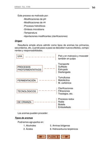 aromas del vino

35

Este proceso es motivado por:
-Modificaciones de pH
-Modificaciones de rH
-Procesos hidrolíticos
-Síntesis microbiana
-Temperatura
-Aportaciones modificantes (clarificaciones)
Origen
Resultaría simple ahora admitir como tipos de aromas los primarios,
secundarios, etc, cuando paso a paso se desvelan nuevos efectos, componentes y responsabilidades.
UVA

Piel y en malvasía y moscatel
también en pulpa

PROCESOS
PREFERMENTATIVOS

Transporte
Sulfitado
Estrujado
Desfangado

FERMENTACIÓN

Tumultuosa
Maloláctica
M. carbónica

TECNOLÓGICOS

Clarificaciones
Filtraciones
Trasiegos, etc.

DE CRIANZA

Procesos redox
Roble
Botella
Embotellado

Los aromas pueden proceder:
Tipos de aromas
Podríamos agruparlos en:
1. Alcoholes

5. Aminas biógenas

2. Ácidos

6. Hidrocarburos terpénicos

 