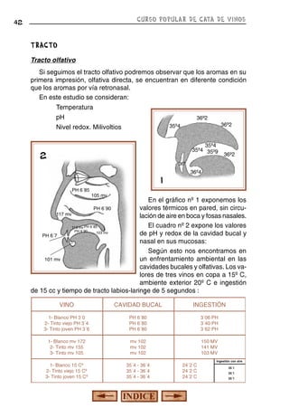 CURSO POPULAR DE CATA DE VINOS

42

TRACTO
Tracto olfativo
Si seguimos el tracto olfativo podremos observar que los aromas en su
primera impresión, olfativa directa, se encuentran en diferente condición
que los aromas por vía retronasal.
En este estudio se consideran:
Temperatura
pH
Nivel redox. Milivoltios

36º2

36º2

35º4
35º4
35º4 35º9

2

36º2

36º

1
PH 6´85

36º4

105 mv

En el gráfico nº 1 exponemos los
valores térmicos en pared, sin circu117 mv
lación de aire en boca y fosas nasales.
El cuadro nº 2 expone los valores
110 mv PH 6´85
PH 6´90
103 mv
de pH y redox de la cavidad bucal y
PH 6´7
nasal en sus mucosas:
Según esto nos encontramos en
un enfrentamiento ambiental en las
101 mv
cavidades bucales y olfativas. Los valores de tres vinos en copa a 15º C,
ambiente exterior 20º C e ingestión
de 15 cc y tiempo de tracto labios-laringe de 5 segundos :
PH 6´90

VINO

CAVIDAD BUCAL

INGESTIÓN

1- Blanco PH 3´0
2- Tinto viejo PH 3´4
3- Tinto joven PH 3´6

PH 6´80
PH 6´80
PH 6´80

3´06 PH
3´40 PH
3´62 PH

1- Blanco mv 172
2- Tinto mv 155
3- Tinto mv 105

mv 102
mv 102
mv 102

150 MV
141 MV
103 MV

1- Blanco 15 Cº
2- Tinto viejo 15 Cº
3- Tinto joven 15 Cº

35´4 - 36´4
35´4 - 36´4
35´4 - 36´4

24´2 C
24´2 C
24´2 C

Ingestión con aire
25´1
25´1
25´1

 