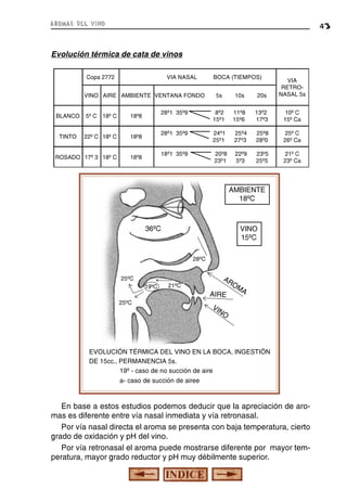 aromas del vino

43

Evolución térmica de cata de vinos
Copa 2772

VIA NASAL

5s

10s

20s

VIA
RETRONASAL 5s

28º1 35º9

8º2
15º1

11º8
15º6

13º2
17º3

10º C
15º Ca

28º1 35º9

24º1
25º1

25º4
27º3

25º8
28º0

25º C
26º Ca

18º1 35º9

20º8
23º1

22º9
5º3

23º5
25º5

21º C
23º Ca

VINO AIRE AMBIENTE VENTANA FONDO
BLANCO

5º C 18º C

18º8

TINTO

22º C 18º C

18º8

ROSADO 17º 3 18º C

BOCA (TIEMPOS)

18º8

AMBIENTE
18ºC

36ºC

VINO
15ºC
28ºC

25ºC
19ºC

21ºC

25ºC

AR
OM
A
AIRE

VI
NO

EVOLUCIÓN TÉRMICA DEL VINO EN LA BOCA, INGESTIÓN
DE 15cc., PERMANENCIA 5s.
19º - caso de no succión de aire
a- caso de succión de airee

En base a estos estudios podemos deducir que la apreciación de aromas es diferente entre vía nasal inmediata y vía retronasal.
Por vía nasal directa el aroma se presenta con baja temperatura, cierto
grado de oxidación y pH del vino.
Por vía retronasal el aroma puede mostrarse diferente por mayor temperatura, mayor grado reductor y pH muy débilmente superior.

 