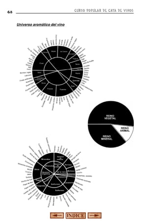 CURSO POPULAR DE CATA DE VINOS

68

Universo aromático del vino

 
