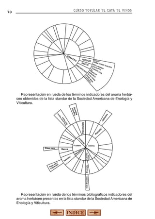 70

CURSO POPULAR DE CATA DE VINOS

Representación en rueda de los términos indicadores del aroma herbáceo obtenidos de la lista standar de la Sociedad Americana de Enología y
Viticultura.

Representación en rueda de los términos bibliográficos indicadores del
aroma herbáceo presentes en la lista standar de la Sociedad Americana de
Enología y Viticultura.

 