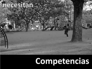 necesitanCompetencias