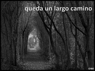 queda un largo camino