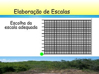 26
Elaboração de Escalas
Escolha da
escala adequada
 